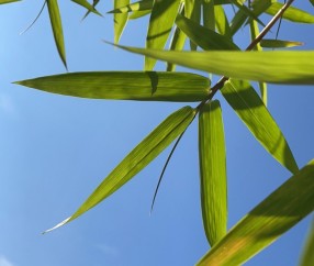 九游体育-剖垯%L5=峝9萛bu揆骃'?)!凄-籱撩鱂?y?直??慣(